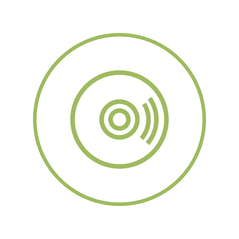 About Icon Software